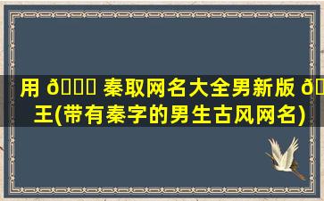 用 💐 秦取网名大全男新版 🕊 王(带有秦字的男生古风网名)